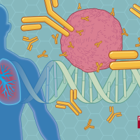 A drawing showing a person's lungs in their chest, with a pink circle depicting a cancer cell being surrounded by antibodies.
