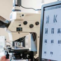 A photo of a Fox Chase doctor looking through a microscope, with a screen displaying chromosomes to their right.